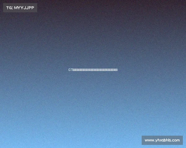 GT赛车盛宴全球顶尖车手齐聚极限速度中展现技术与勇气的完美融合